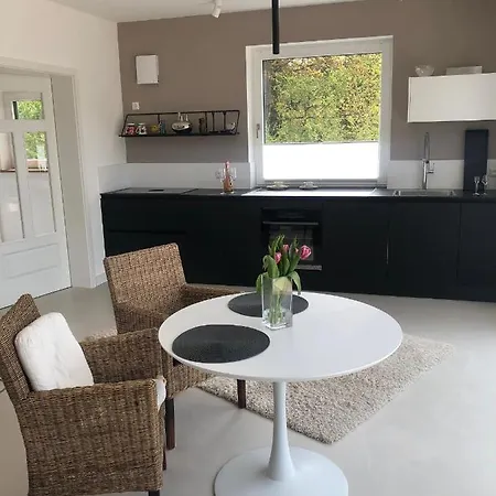 公寓 Ferienchalets 里登堡